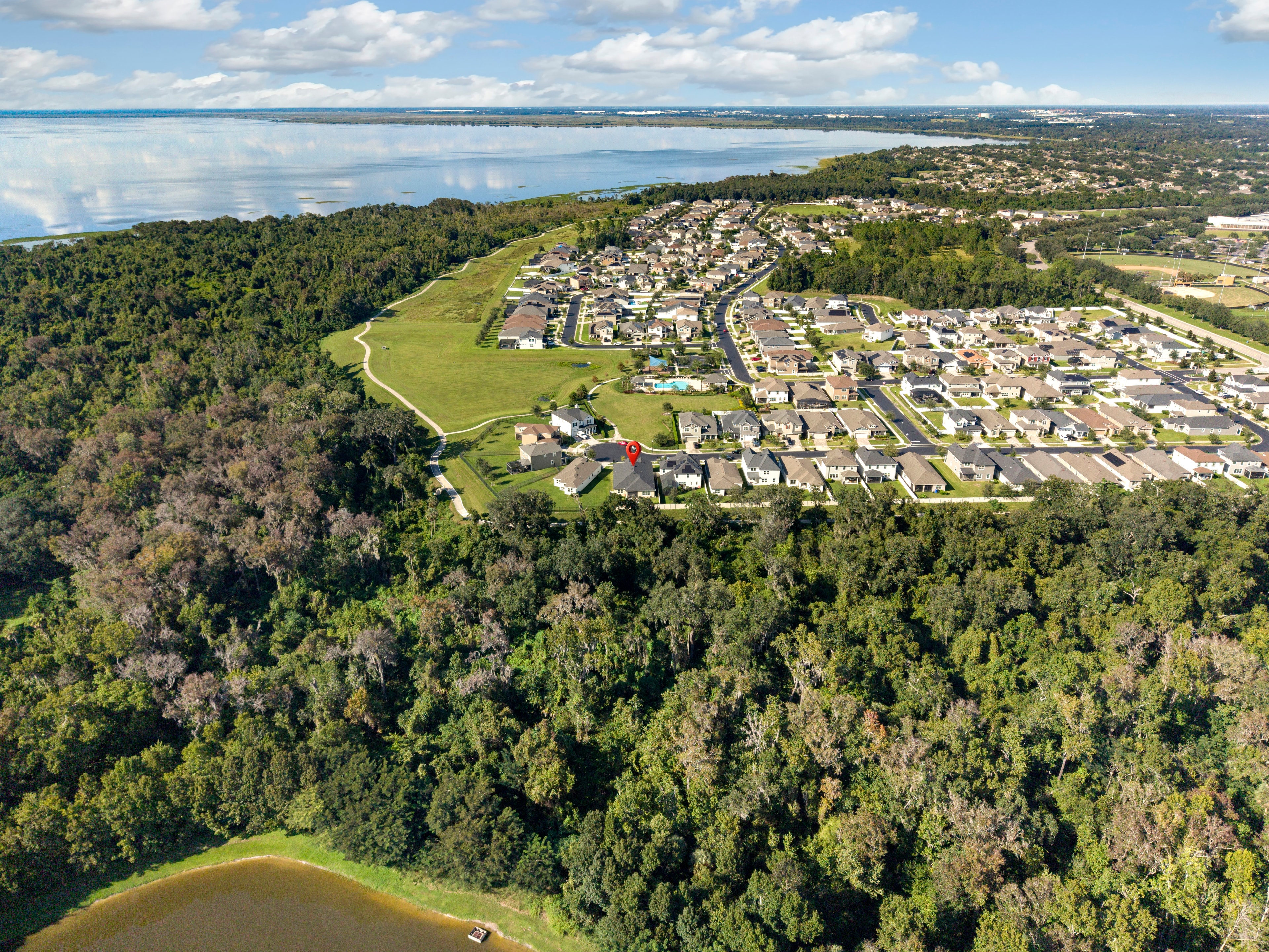 Aerial view of 2333 Farnham Dr rear yard and conservation backdrop, Ocoee FL